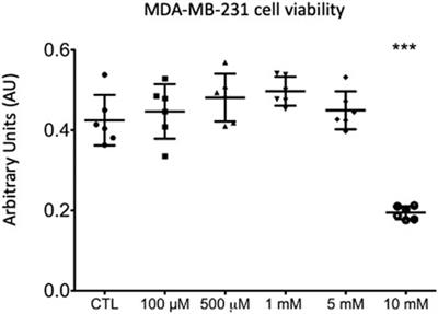 Metabolomic Impact of Lidocaine on a Triple Negative Breast Cancer Cell Line